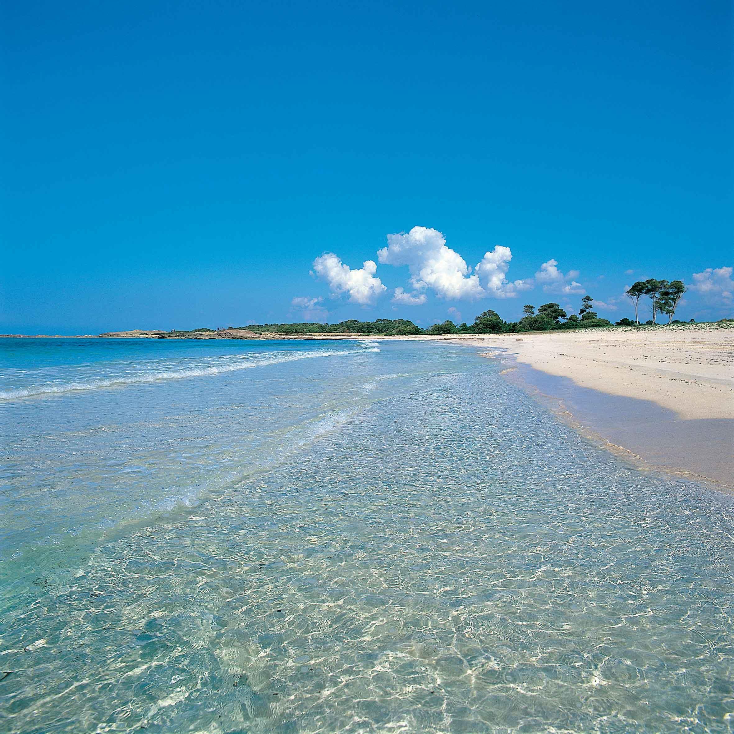 Hotel Isla De Cabrera Colonia de Sant Jordi Zewnętrze zdjęcie